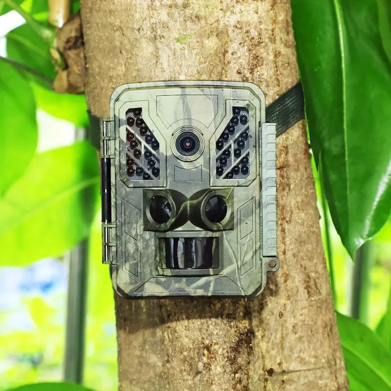 Caméra de chasse wifi - Image 13