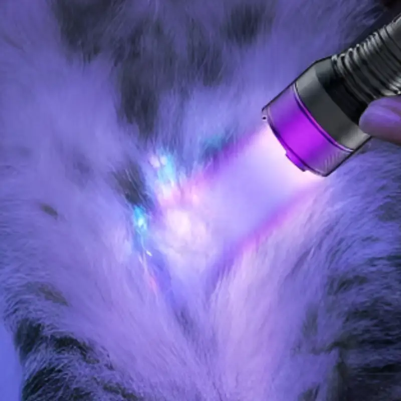 Lampe torche uv led - Image 7